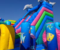 Structure gonflable commerciale combinée château et toboggan, aire de jeux gonflable, certifiée CE, garantie 3 ans, capacité maximale 500 personnes