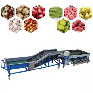 Full <b>Automatic</b> Roller Grading Line with Adjustable Speed for Various Fruits - Product Image 6