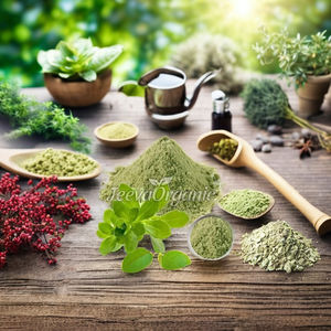 Poudre d'extrait organique de bacopa de qualité alimentaire pure 100% meilleur extrait de plantes de Bacopa Monnieri - Product Image 1