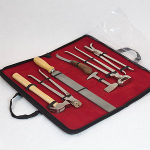 Fournisseur de kits de ferrage de haute qualité, outils professionnels pour l'entretien des sabots de chevaux, ensemble d'équipement en acier de qualité supérieure - Product Image 5