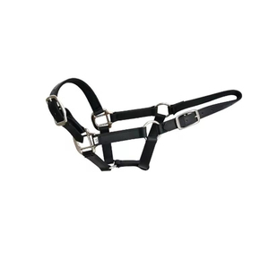 Cuerda de Algodón Trenzado para Caballos con Clip Resistente, Diseño Cómodo para Entrenamiento, Cuidado y Uso en Establos al Aire Libre - Product Image 3