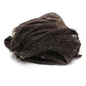 Viande de boeuf Omasum congelée pour l'exportation – Coupes fraîches de qualité supérieure, viande tendre, riche en nutriments, emballée en toute sécurité pour les acheteurs internationaux - Product Image 6