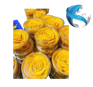 มะม่วงอบแห้งหั่นชิ้น รสหวาน ผลไม้สุกพร้อมทาน ออร์แกนิค น้ำตาลน้อย บรรจุภัณฑ์สุญญากาศ พกพาสะดวก EXPAD เวียดนาม HHuong - Product Image 3