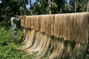 Màu Xanh Sen Việt Nam Số Lượng Lớn Xuất Khẩu Với Giá Thấp Cho Bán Buôn Trên Toàn Thế Giới Chuối Fibre Được Làm Từ 100% Tự Nhiên Cây Chuối - Product Image 3