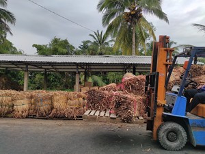 เชือกผักตบชวาถักคุณภาพสูง เชือกธรรมชาติจากเวียดนาม สำหรับงานหัตถกรรม ผลิตภัณฑ์ทอ และอุปกรณ์ตกแต่งภายใน - Product Image 2