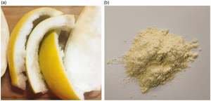 ISO CERTIFIED POMELO FRUIT JUICE POWDER NUTRITIONAL SUPPLEMENT FOR HEALTH CARE - Product Image 6