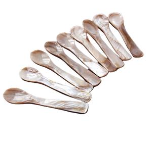 Premium Vietnam Mother Of Pearl Spoon Crafted From Pearl <b>Shell</b> For Caviar Salt Dessert Ice Cream Coffee Serving - Product Image 1