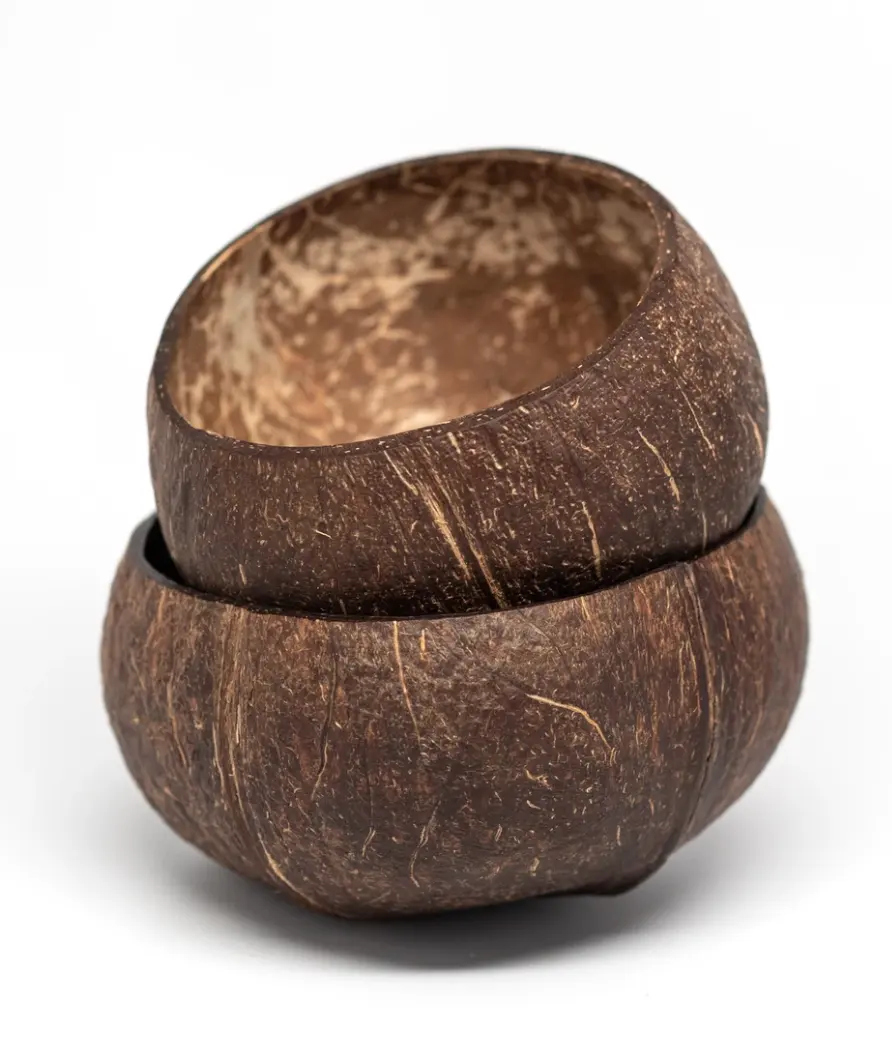 Coconut Shell Bowl Pot flower vase natural ecofriendly flower pot for table home garden indoor factory price cheap