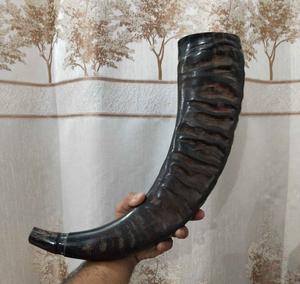 Cuerno de búfalo antiguo pulido a mano, color natural, para cinturón de cuero, tamaño personalizado, ¡gran oferta! - Product Image 2