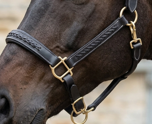 Premium DD Leather Handmade Leather Braided Equestrian <b>Halter</b> - Product Image 4