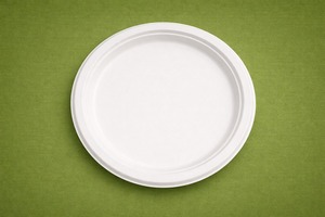 11 Inch Biodegradable Sugarcane Bagasse <b>Plate</b> | Compostable <b>Disposable</b> Dinner <b>Plates</b> for Food Serving - Product Image 3