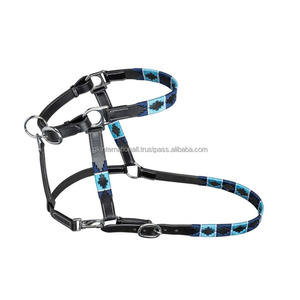 Polo à selle anglaise en cuir argentin licou pour cheval équipement de cheval de haute qualité design personnalisé licous colorés en fil ciré - Product Image 3
