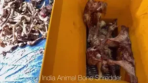 Trituradora de Huesos de Doble Eje Avanzada, Máquina Eléctrica de Procesamiento de Carne de Doble Eje de 1000 Kg/Hr para Uso Industrial - Product Image 3