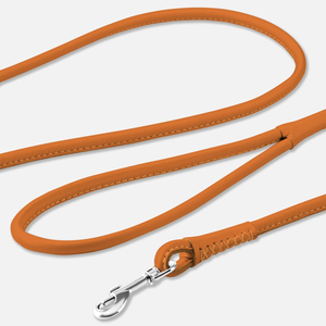 2026 Top Selling High Quality Wholesale Luxury Adjustable And Secure Buckle Leather <b>Dog</b> <b>Leash</b> - Product Image 2