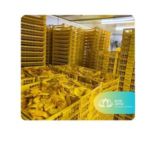 [BEST SELLING] l <b>Dried</b> Soft <b>Mango</b> Convenient <b>Mango</b> Snack for Daily Refreshment and Office Consumption Vietnam - Product Image 1