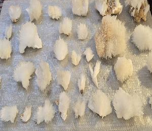 Lot de spécimens minéraux naturels rares de scolecite, magnifique formation de grappe de cristaux pour la guérison énergétique, la méditation et la décoration intérieure - Product Image 1