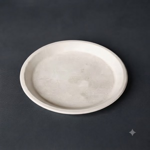 Assiette ronde compostable blanche de 10 pouces en bagasse, écologique pour la restauration - Product Image 5