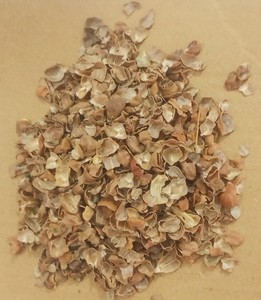 Peau de haricot noir Desi séchée 100% naturelle pour l'alimentation des bovins et du bétail, paquet de 50 kg - Product Image 4