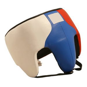 No Boxing No Life - Equipo de Sparring Personalizado, Guantes de Piel Sintética, Protector de Cabeza y Protector Inguinal - Product Image 4