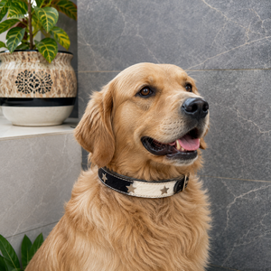 Beautiful Design Cowhide Leather Dog <b>Collar</b> Skull Western Pattern Pet <b>Collars</b> Wholesale Bulk Product Multi Uses - Product Image 6