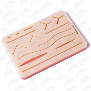 Modèle médical coussinet de suture Kit de pratique de suture Kit de dissection Kit de pratique de suture Instruments chirurgicaux Outils d'instruments médicaux - Product Image 5