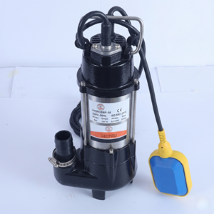 Hydroplus International 0.5HP Sewage <b>Submersible</b> <b>Pump</b> 32MM Outlet High Flow Durable Motor 220V For Domestic And Industrial Uses - Product Image 3