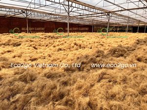 Fibra de Coco Natural para Mezcla de Suelo, Hidroponía y Relleno de Cojines - Product Image 3