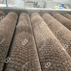Date Processing Machine Washing Dry Machine 100kg/h Date Automatic Cleaning Sorting Equipment for Dried Fruit - Product Image 3