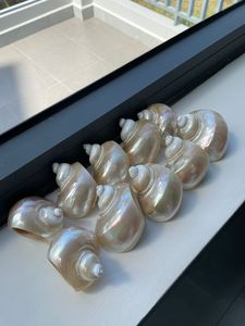 Anillo para Servilletas de Concha Natural Hecho a Mano, Accesorio Decorativo para Mesa con Conchas Marinas, para Decoración del Hogar de Estilo Costero, Bodas y Uso en Hoteles - Product Image 3