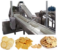 Équipement de cuisson de craquelins à riz croustillant entièrement automatique/Ligne de production de craquelins à riz à neige autres machines et équipements industriels