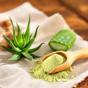 Extracto de Aloe Vera en Polvo (Aloe barbadensis) Suministro del Fabricante – Polvo de Aloe Vera 100% Puro a un Precio Razonable - Product Image 3