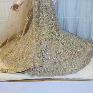 Lehenga Choli de style indien et pakistanais pour femmes, design indien, Lehenga Choli en résille complète, Dupatta, Blouse, Broderie - Product Image 1