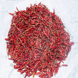 Piment rouge entier séché de qualité export FitTree International, provenant du Gujarat, Inde, pour les acheteurs de l'industrie alimentaire internationale - Product Image 3
