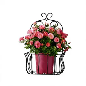 Support mural en métal galvanisé pour plantes, porte-pot de fleurs pour intérieur, extérieur, jardin, balcon, étagère d'angle, présentoir mural - Product Image 3