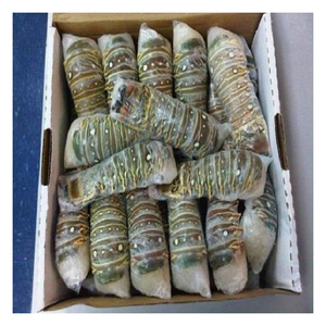 กุ้งมังกรสดแช่เย็นสำหรับร้านอาหารทะเล ซูเปอร์มาร์เก็ต และผู้ค้าส่งอาหารทะเล - Product Image 3