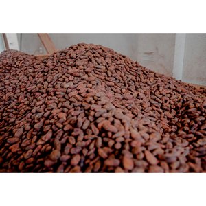 เมล็ดโกโก้ดิบอบแห้ง กลิ่นหอม คุณภาพพรีเมียม - Product Image 6