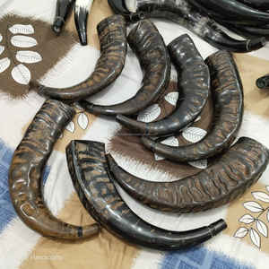 Corneta Tradicional de Búfalo Grande con Cordón de Cuero, Instrumento Musical Tradicional a Precio Económico - Product Image 4