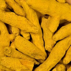 Bâtonnets entiers de curcuma séché Sabut Haldi personnalisés en gros – Doigts de curcuma naturels, épice indienne de haute qualité pour la cuisine - Product Image 1