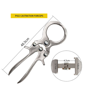 Castrateur Burdizzo sans saignement pour animaux de grande taille (moutons, chèvres, bovins, porcs) – Kit d'outils réutilisables et durables DENTRIC - Product Image 3