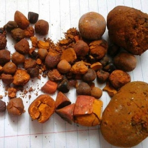 Poudre de venin d'extrait de bœuf à bas prix / Ingrédients protéiques d'abeille / Calculs biliaires de bovin à prix réduit - Product Image 2