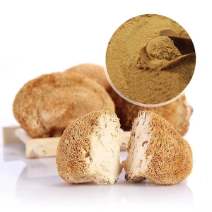 Poudre de champignon crinière de lion 100 % pure, qualité alimentaire, naturelle, pour café et thé, à prix avantageux, en provenance d'Inde - Product Image 5