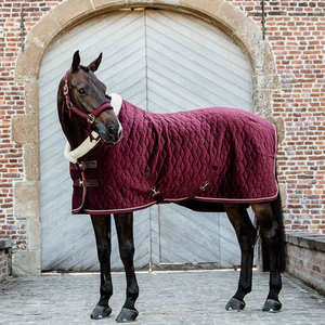 Couverture d'hiver pour chevaux de compétition de qualité supérieure, isolée, respirante, imperméable, en polaire et maille légère, en polyester - Product Image 1