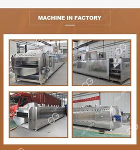 Gelgoog Automatic Nut Roasting Machine for Cocoa <b>Bean</b> Cashew Peanuts Seeds Roast Machine Stainless Steel Food Grade Factory Use - Product Image 5