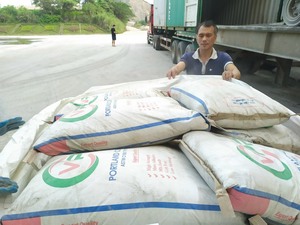 Wholesales Grey Portland <b>Cement</b> From Vietnam Factory for Construction to French Polynesia - Product Image 3