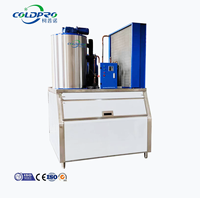 Machine à glace en flocons industrielle COLDPRO 3 tonnes/jour, en acier inoxydable 304, fabrication de glace en flocons, conception personnalisée CE pour les produits de la mer