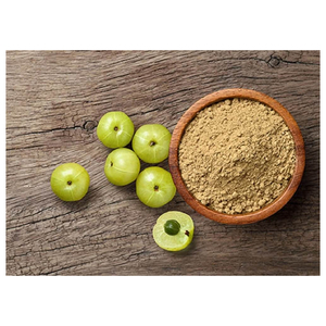 Poudre de fruit d'Amla en vrac, ingrédient alimentaire naturel pour la transformation alimentaire commerciale - Product Image 1