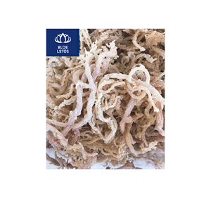 MUSGO DE MAR SECO ECOLOGICO, LIMPIO Y SEGURO, EL MEJOR PARA EL CUIDADO DE LA PIEL Y EL ENDULZANTE DE ALIMENTOS, VENTA DIRECTA DE FÁBRICA - Product Image 1
