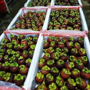 เนื้อมังคุดแช่แข็ง IQF ผู้จัดจำหน่ายผลไม้เมืองร้อนขายส่ง - Product Image 1