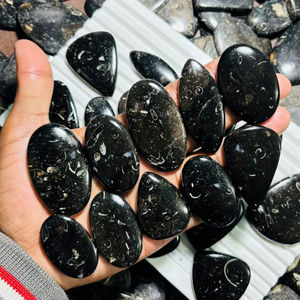 Cabochons de Jaspe Turritella 100% Naturels, Formes Mixtes, Pierres Semi-Précieuses en Gros, Pierres de Guérison Énergétique, Gemmes Libres pour Bijoux ASHU - Product Image 1