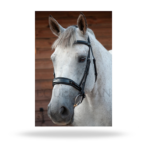 Brida de doma ecuestre patentada, tamaño completo, para equitación inglesa y presentaciones de doma. - Product Image 4